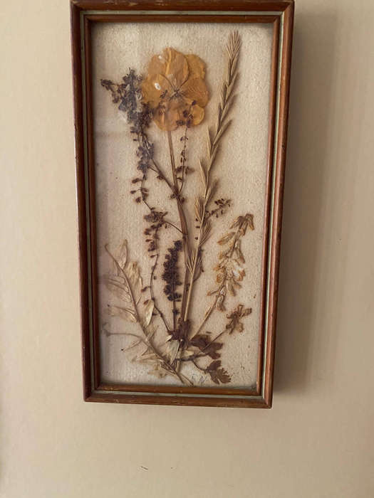 Vintage Dried Flower Art x4