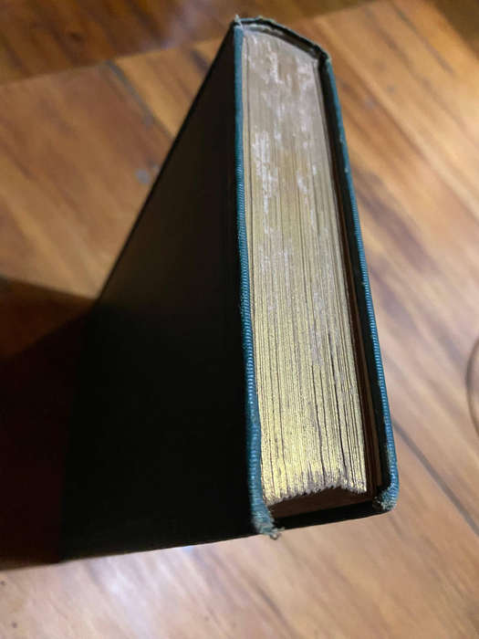 Story of an African Farm Iron, Ralph (Olive Schreiner) Rand, McNally & Company, Second edition