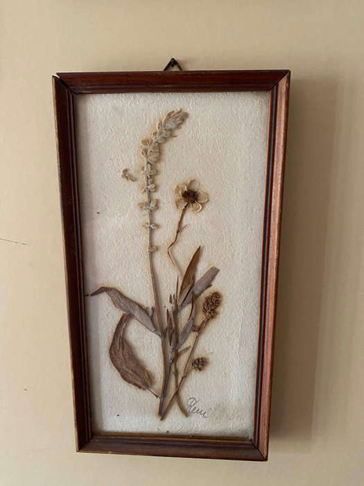 Vintage Dried Flower Art x4
