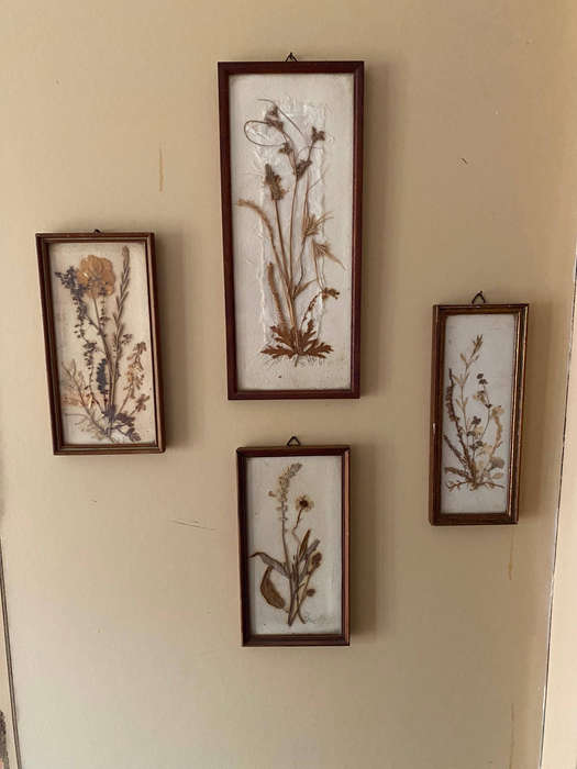 Vintage Dried Flower Art x4