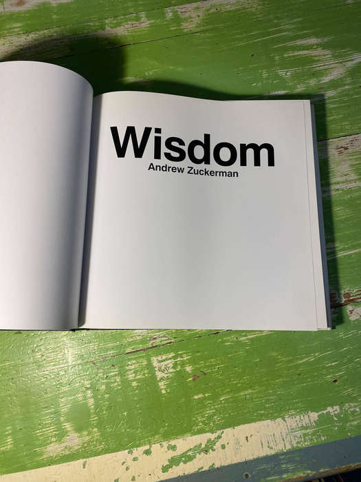 WISDOM - ANDREW ZUCKERMAN
