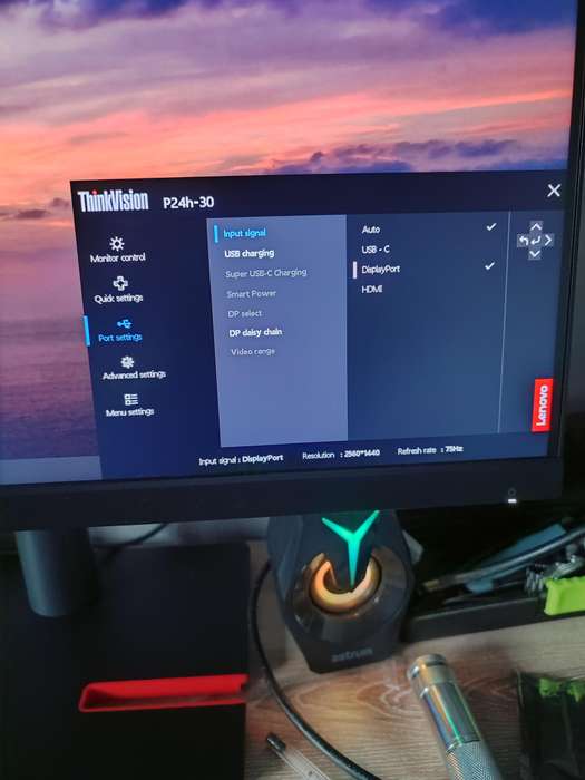 Lenovo ThinkVision QHD 1440p 24" Monitor (usb-c display)