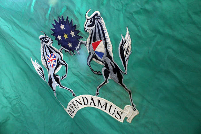 Regiment Natalia Regimental Colours