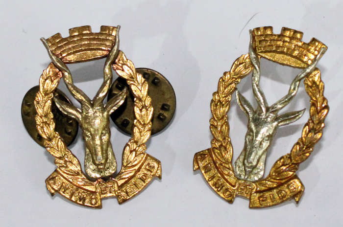 Regiment Windhoek pair of collars