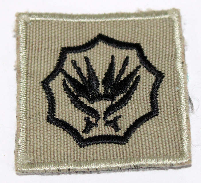 SANDF 5 year service badge