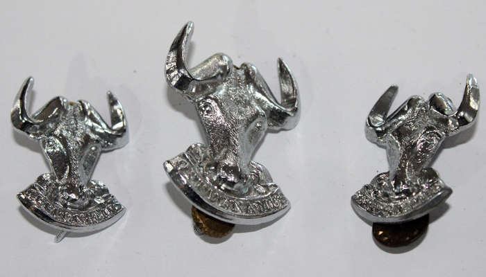 Regiment Port Natal badge lot
