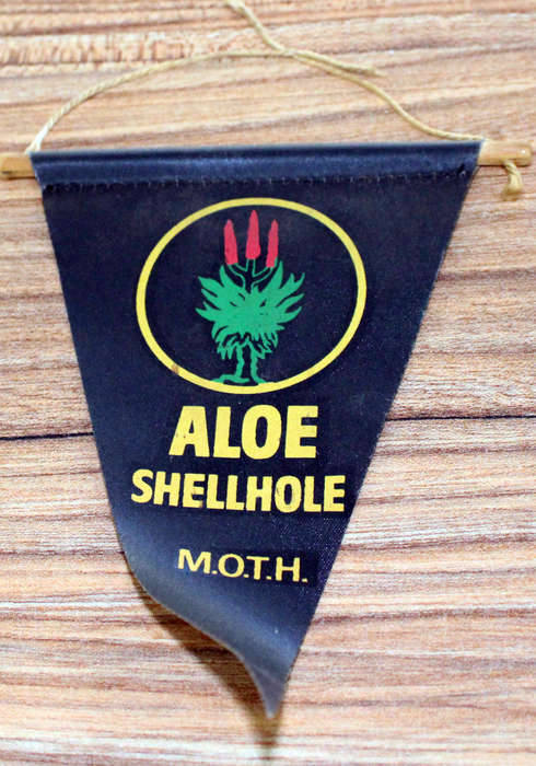 Moth pennant