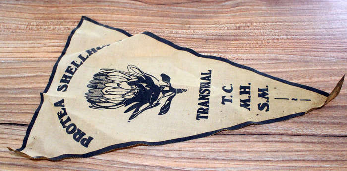 Moth pennant
