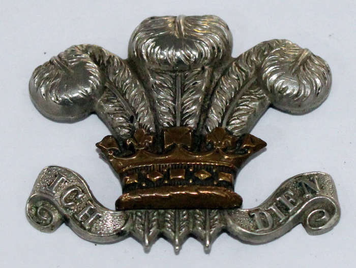Welsh Regiment cap badge (NO PINS)