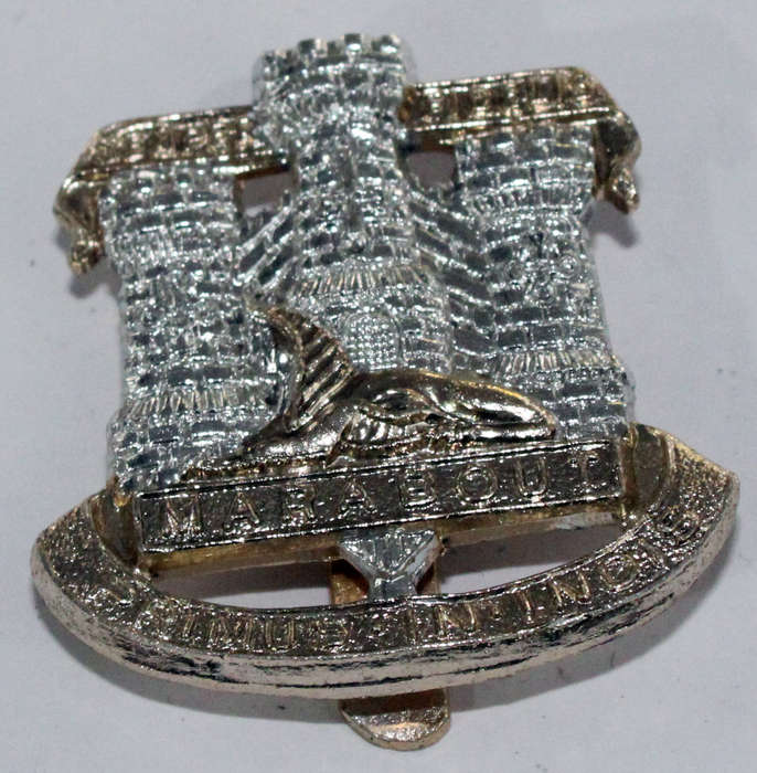 Devonshire and Dorset Regiment Cap badge