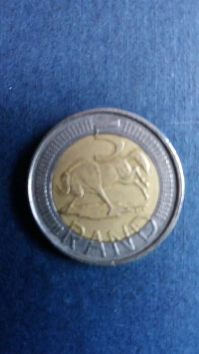 South Africa 2019 R5 * Wildebeest*