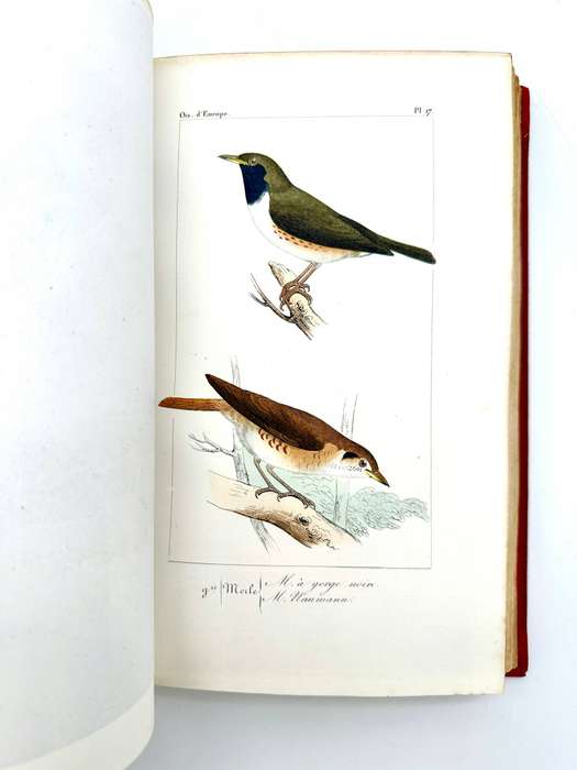 Histoire Naturelle Des Oiseaux D'Europe by Florent Prevost & Dr Lemare