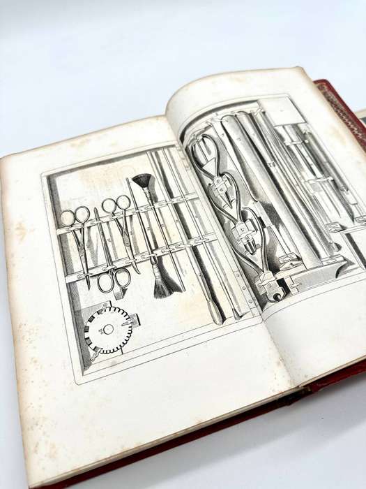 Histoire Naturelle Des Oiseaux D'Europe by Florent Prevost & Dr Lemare