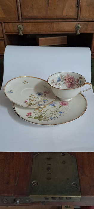 Hutschenreuther / Bavaria trio beautiful