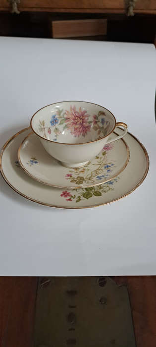 Hutschenreuther / Bavaria trio beautiful