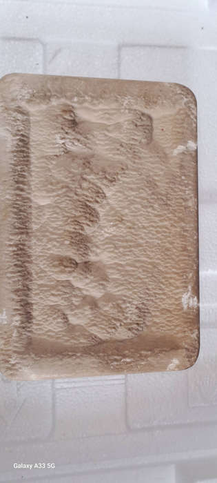 Bas Relief Petrified Limestone Carving Made in France Signed C.F. Becker