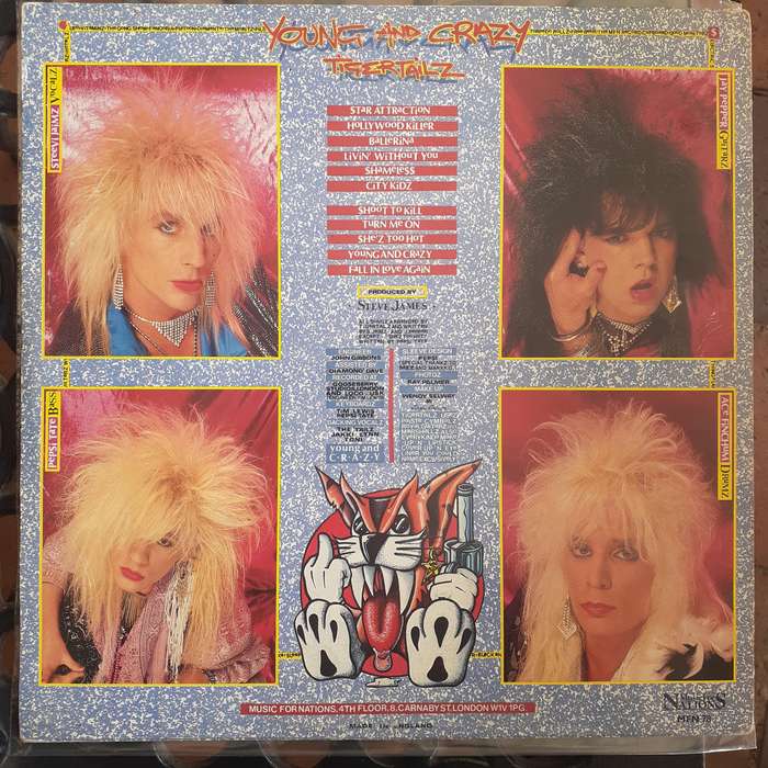 VINYL - Tigertailz - Young And Crazy [UK press] (1988)    *Hard Rock/Glam