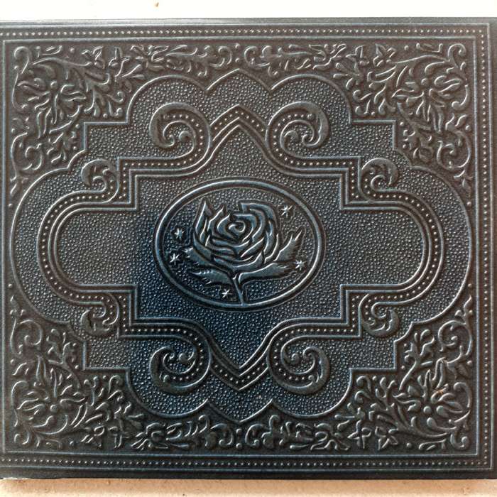 Ryan Adams & The Cardinals - Cold Roses [2 CD digipak] (2005)