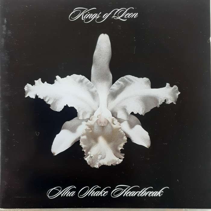 Kings Of Leon - Aha Shake Heartbreak [Import CD] (2004)