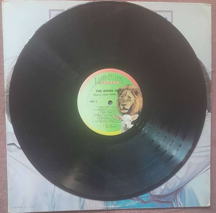 The Boone Girls Vinyl