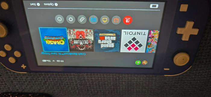 Nintendo switch lite picofly