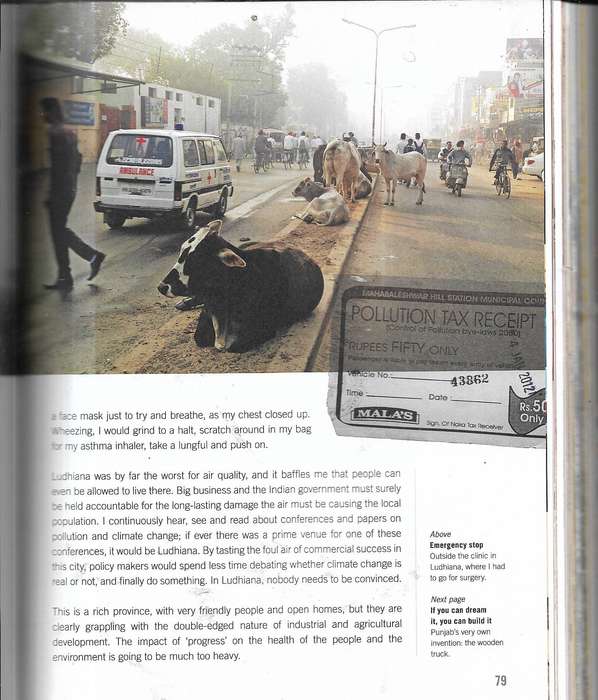 India Lost & Found by David Grier