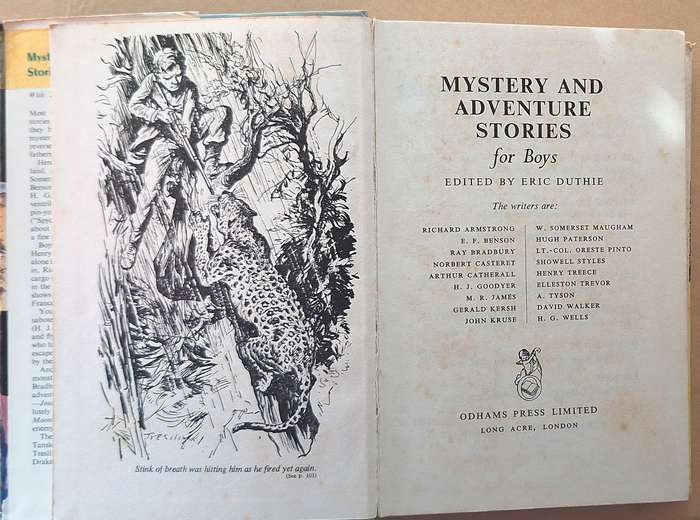Mystery and Adventure Stories for Boys Ed: Eric Duthie Hardcover