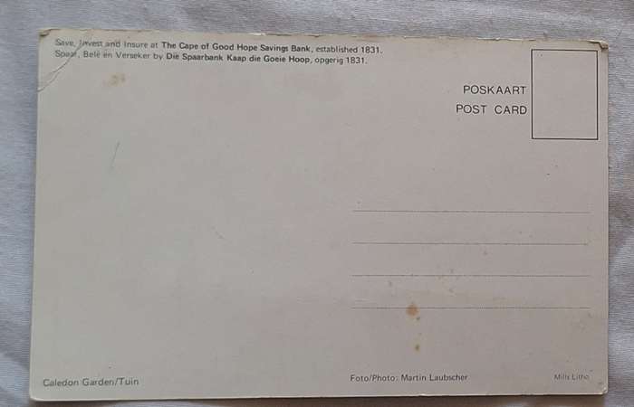Cape of Good Hope Savings Bank Post Card of Caledon Garden Photo by Martin Laubscher