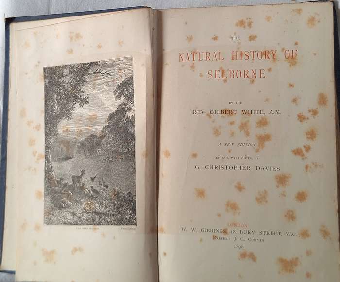 Natural History of Selborne by Rev G White Hardcover 1890