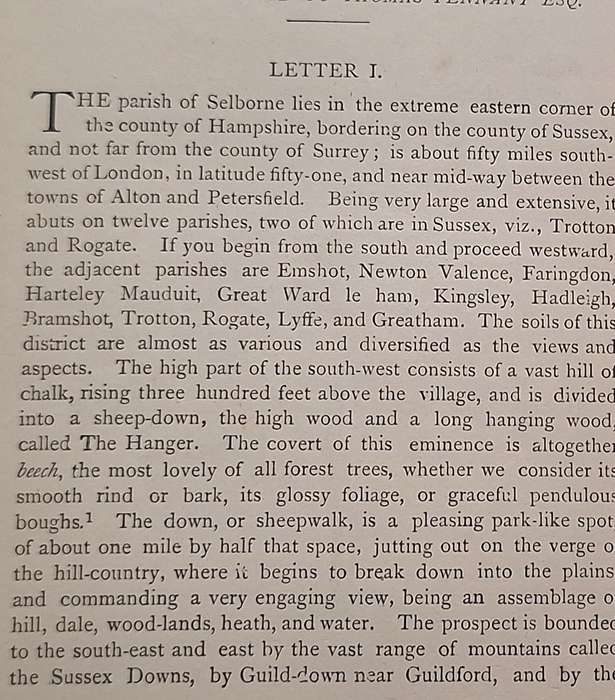 Natural History of Selborne by Rev G White Hardcover 1890