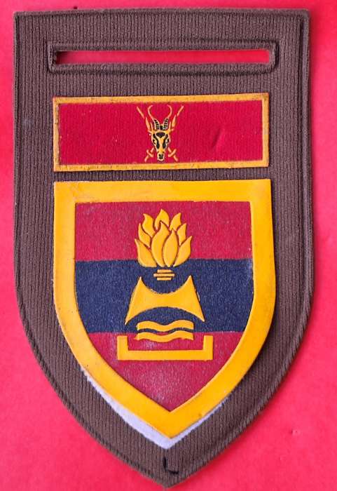 SADF 2nd Field Regiment tupperware flash with Chief of the Army Command Badge