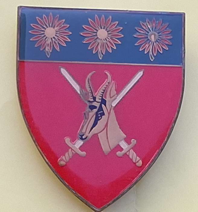 SADF Northern Transvaal Command Metal Flash