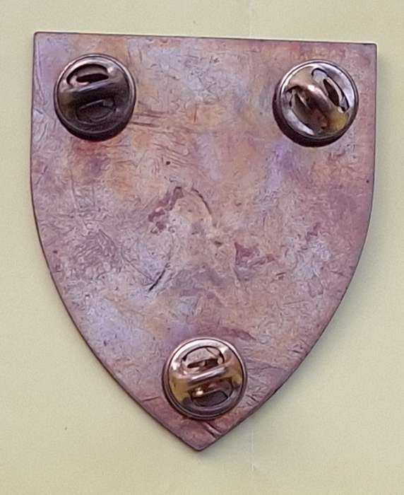 SADF Northern Transvaal Command Metal Flash