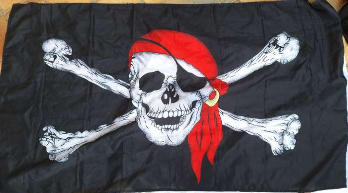 Jolly Roger Pirate Flag