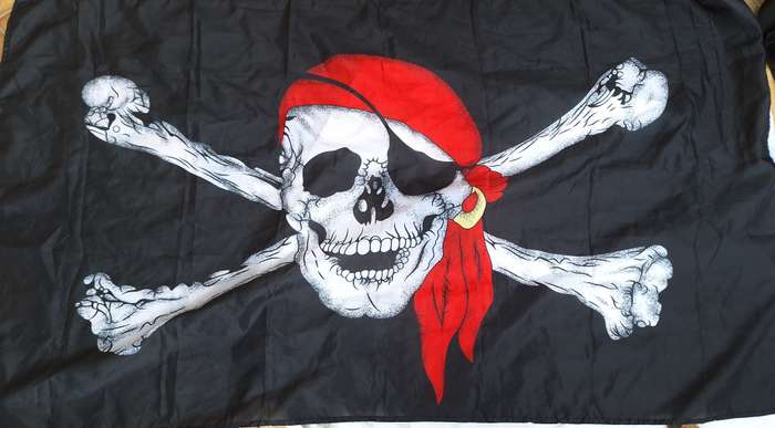 Jolly Roger Pirate Flag