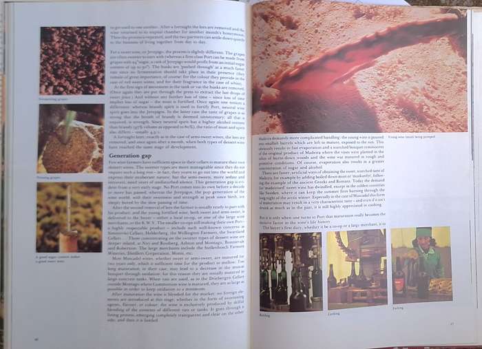 Dessert Wine in South Africa by Andre P Brink Hardcover