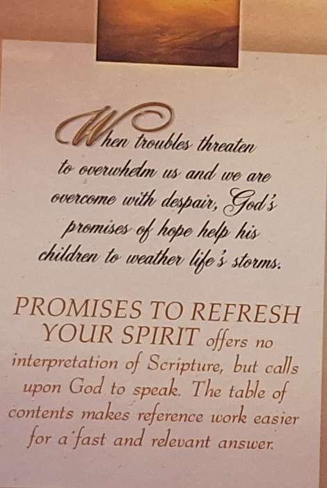 Promises to Refresh Your Spirit: Reassurance from the Word for a Meaningful Future Hardcover