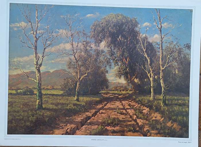 Unframed Reproduction Tinus de Jongh  Avenue, Cape Flats