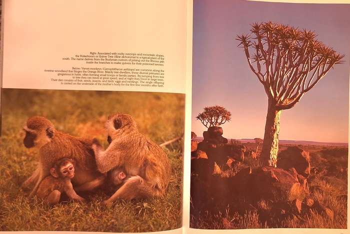 Namibia: The Untamed Land by Gerald Cubitt Hardcover