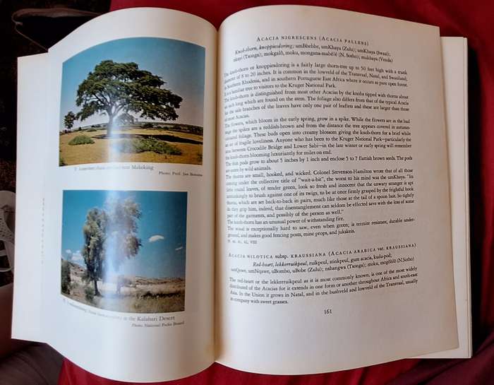 Trees of South Africa by Eve Palmer and Norah Pitman Hardcover 1961