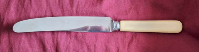 1 Vintage Harris Miller & Co Sheffied Faux Bone  Table Knife