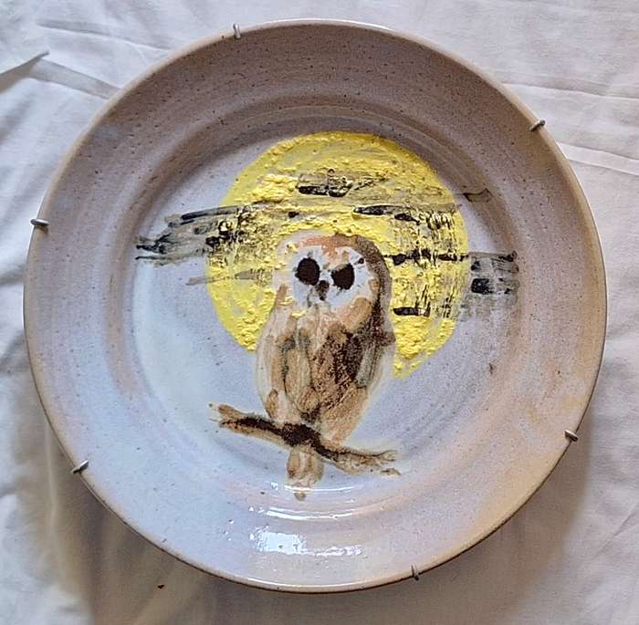 Large Plate Wall Hanging with Owl design and fitted metal hanging frame
