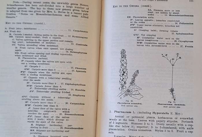 A Guide to the Flora of The Cape Peninsula by M.R Levyns Hardcover Introduction dated 1929