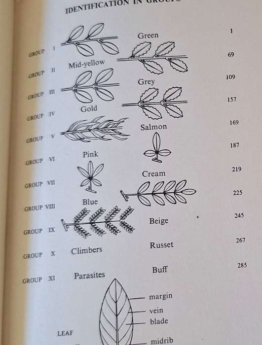 Trees and Shrubs of the Witwatersrand An Illustrated Guide Hardcover 1964 No. 361 of 400 Signed