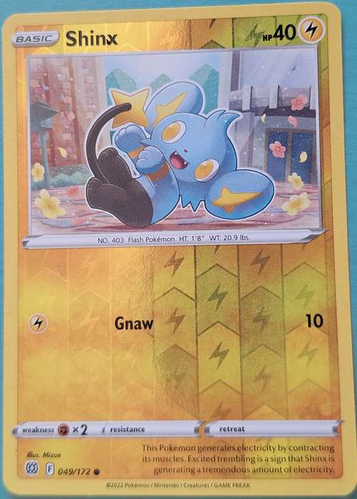 Pokemon 2022 049/172 Shinx Reverse Holo