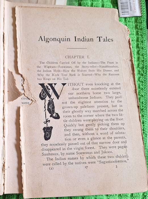 Algonquin Indian Tales by Egerton R Young Hardcover