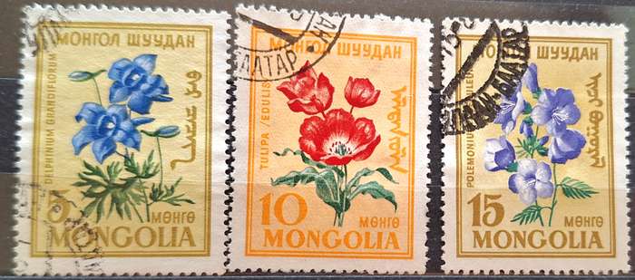 Mongolia 1960 Flowers 3 Used stamps
