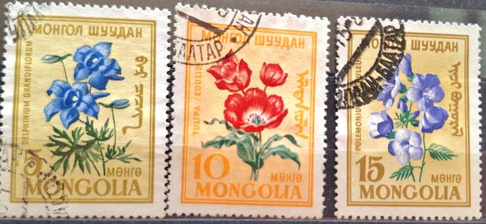 Mongolia 1960 Flowers 3 Used stamps