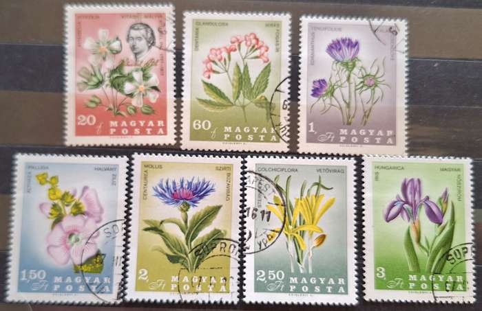 Hungary 1967 Flowers of the Carpathian Set of 7 Cancelled stamps