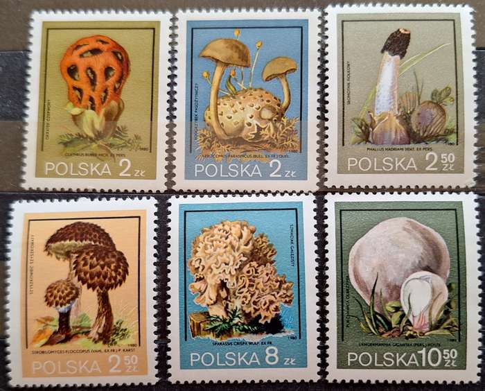 Poland 1980 Mushrooms, Flora, Fungi Set of 6 Mint stamps